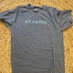 Comfort Colors Gray T-Shirt with Mint Text